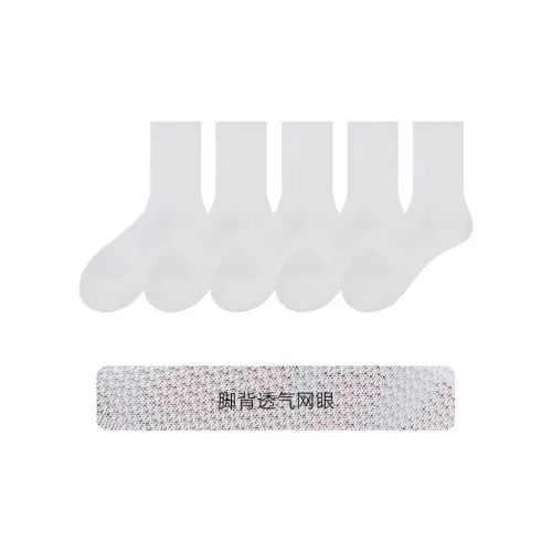 COTTON CHEESE Унисекс MID Носки до икры