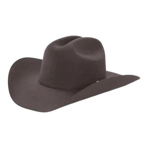 STETSON Felt Leather Hats Caps Unisex Purple Gray STETSON Шапки и кепки из фетра и кожи унисекс фиолетовый серый
