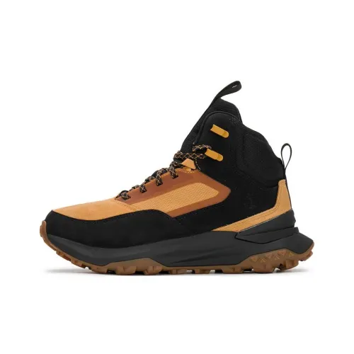 Timberland Альпинистские и туристические ботинки High Top Пшеница Мужской