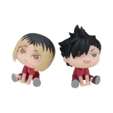 Набор из 2 штук