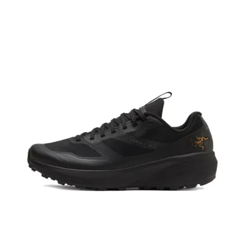 Arcteryx Norvan Ld 3 Беговые кроссовки Низкий топ Мужской