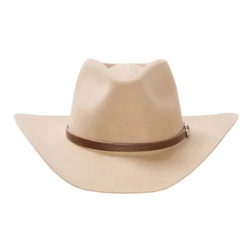 STETSON Кожа Шапки и Кепки Унисекс Хаки