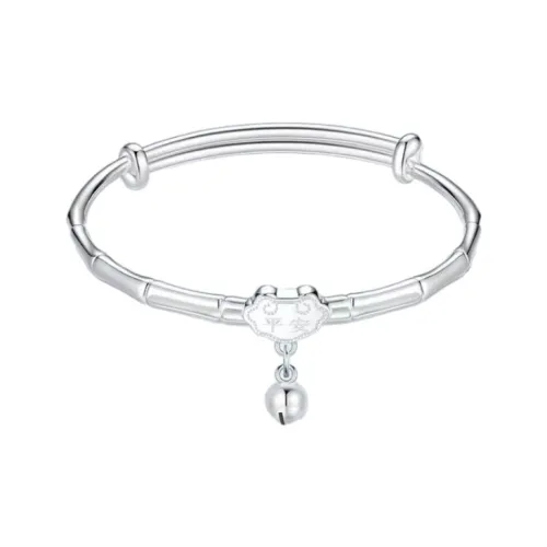 AWD Сплав Браслеты Серебряный Женские