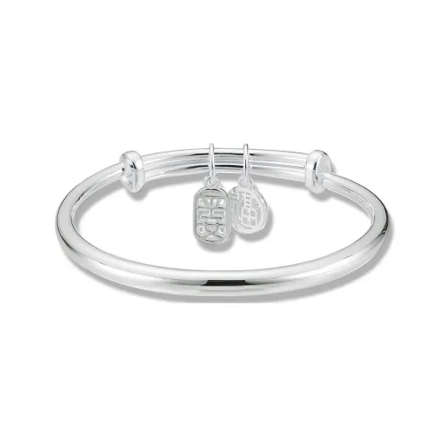 RboySe Сплав Браслеты Женские