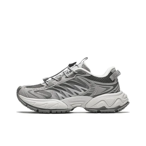 ANTA Star Moon 2 Low Top Кроссовки Pigeon Серый/Вулканический Серый Женские