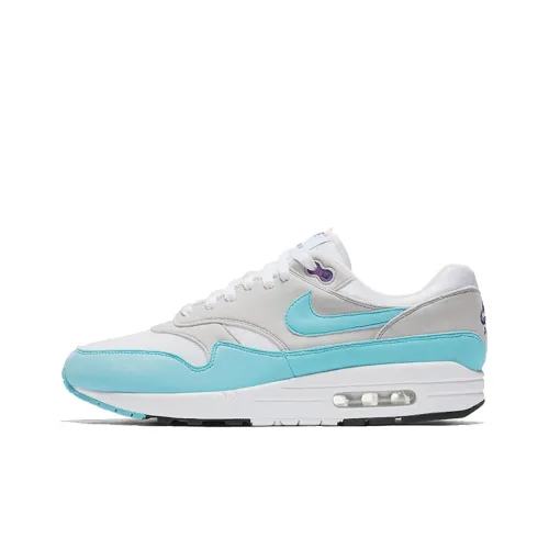 Nike Air Max 1 Low Топ Беговые кроссовки Мужской Небесно-голубой 30th Anniversary Commemoration