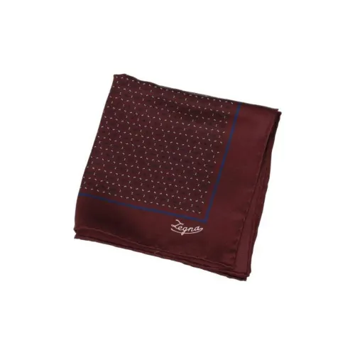 Ermenegildo Zegna Вязаные шарфы Мужской