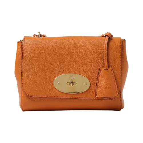 Mulberry Телячья кожа Сумка через плечо Сумка на плечо Маленькая Женская Светло-коричневая