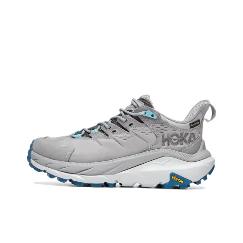 HOKA ONE ONE 2 Low GTX Противоскользящий Устойчивый к износу Водонепроницаемый Низкий Топ Уличная Обувь Женская Серый Синий