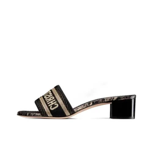 DIOR Dway Слипоны Женские