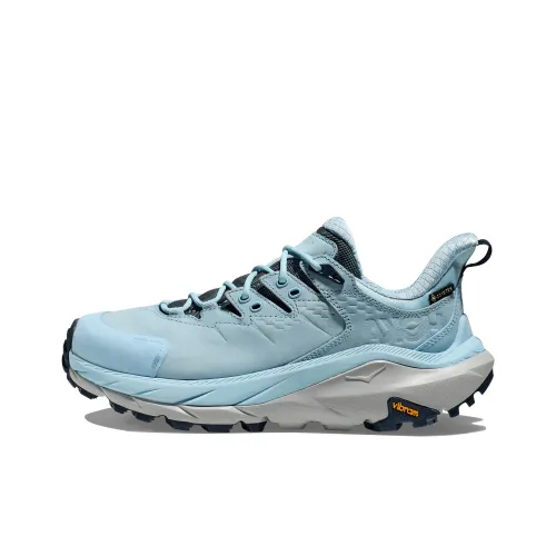 HOKA ONE ONE 2 Low GTX Противоскользящий Устойчивый к истиранию Низкий Топ Уличная обувь Женская Синие Серые