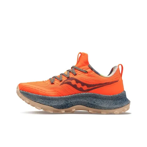 Saucony Endorphin Trail Беговые кроссовки Низкий Топ Мужской