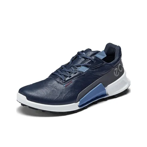Ecco BIOM 2,1 X COUNTRY Низкий Топ Casual Мужской Ocean Blue