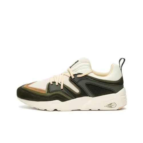 Blaze Of Glory X SNS X PUMA Blaze Of Glory Low Топ Спортивная Повседневная Обувь Бежевый Белый Зеленый