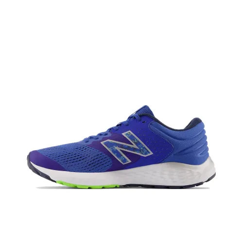 New Balance NB 520 Low Топ Беговые кроссовки Мужской Синий Фиолетовый