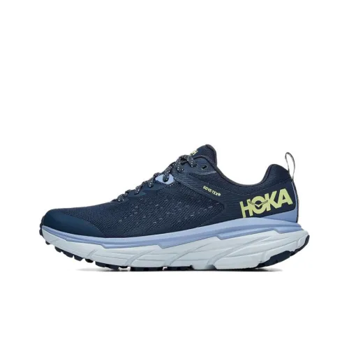 HOKA ONE ONE Challenger ATR 6 GTX Легкий Износостойкий и Противоскользящий Низкий Топ Беговые кроссовки Женские Синие