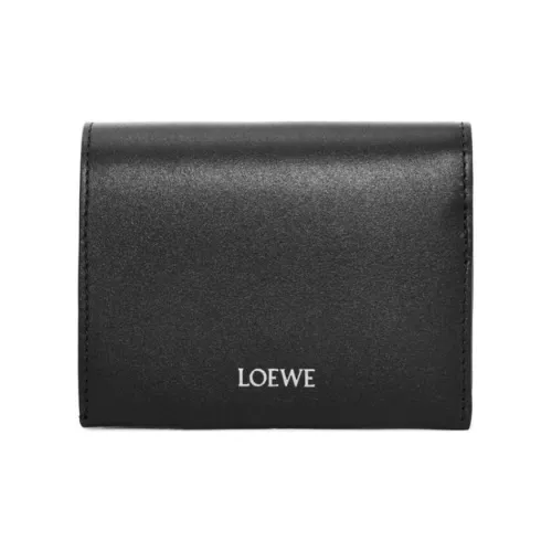 LOEWE Совместное издание Кошельки Мужской