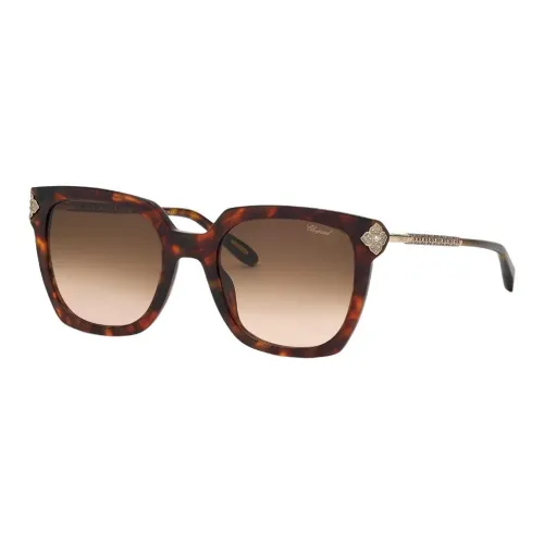 CHOPARD Ацетат Квадратные Солнцезащитные Очки Женские Черепаховый