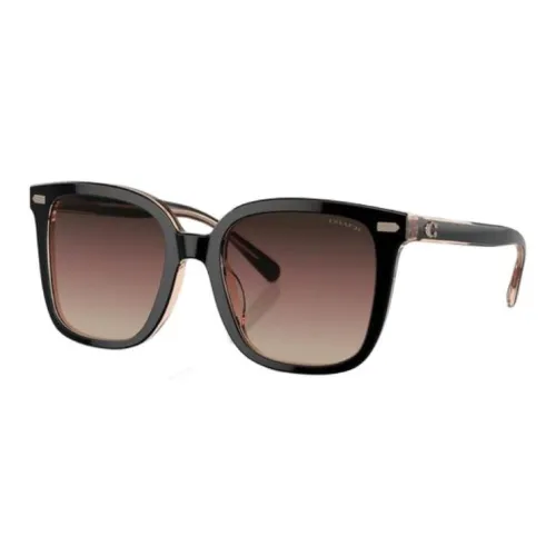 COACH Ацетат Нерегулярная форма Солнцезащитные очки Женские Черный