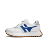 Белый и синий цвет