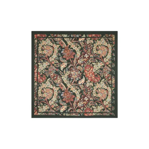 ETRO Шелковые шарфы для женщин