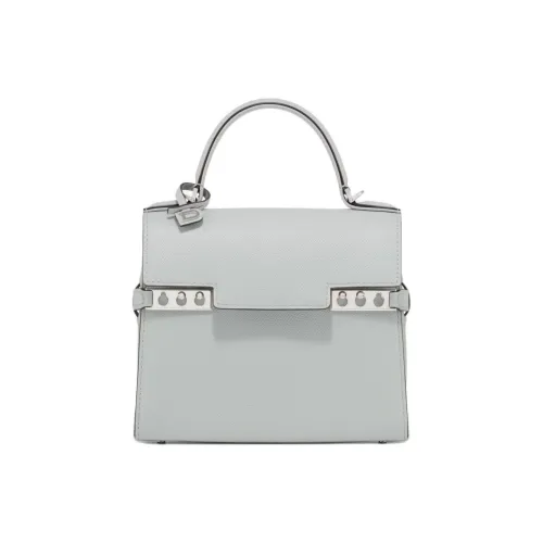 Delvau Tempête с рельефом Alpina Телячья кожа Сумка через плечо Сумка Маленькая Женская Облачный серый