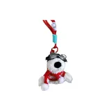 Красный свитер, шарф, очки, щенок, скалолазательное снаряжение, подвески