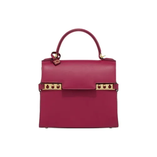 Delvaux Сумки Женские