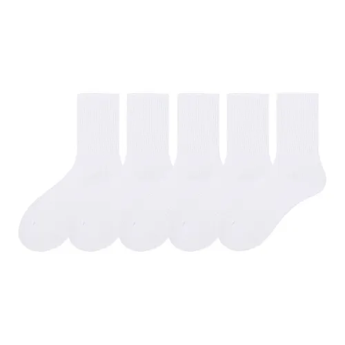 COTTON CHEESE Унисекс MID Носки до икры