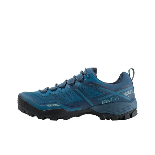 MAMMUT Ducan GTX Водонепроницаемый Низкий Топ Уличная Обувь Мужская