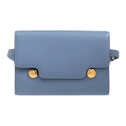 MARNI Телячья кожа Сумка через плечо Бананка Обычный Женский Синий