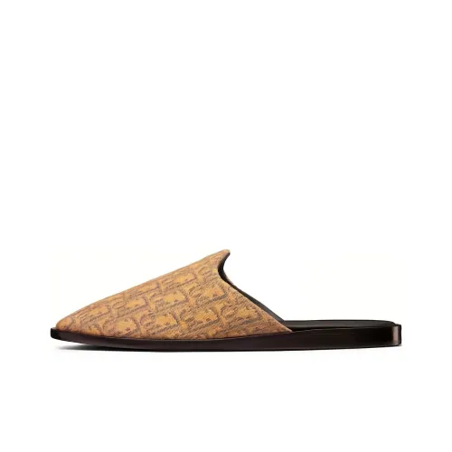 DIOR Indior Повседневная обувь Мужская Черный Коричневый