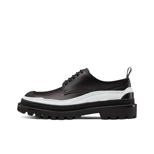 DIOR Мужские повседневные туфли Low Top Мужские