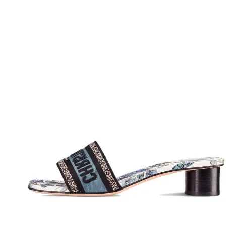 DIOR Слипоны Синие Женские