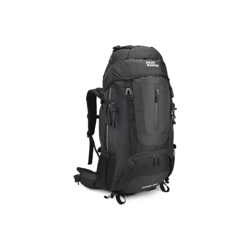 ALPINT MOUNTAIN 65L Рюкзак Полиамид Черный Озёрный Синий Унисекс