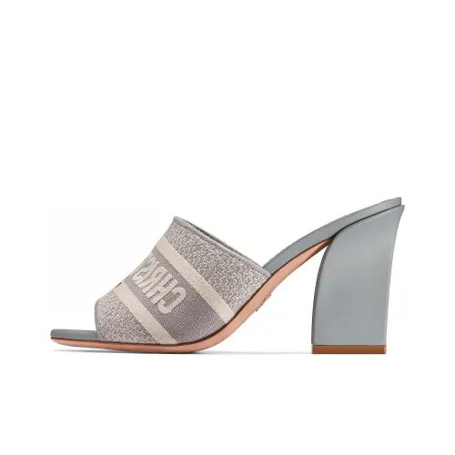 DIOR Dway Слипоны Женские Серые