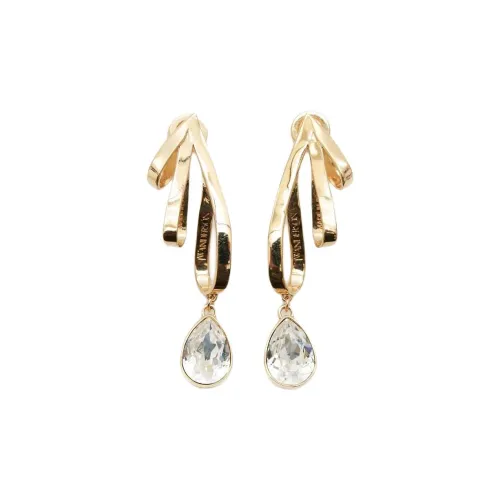 JW Anderson Брассовые серьги Женские