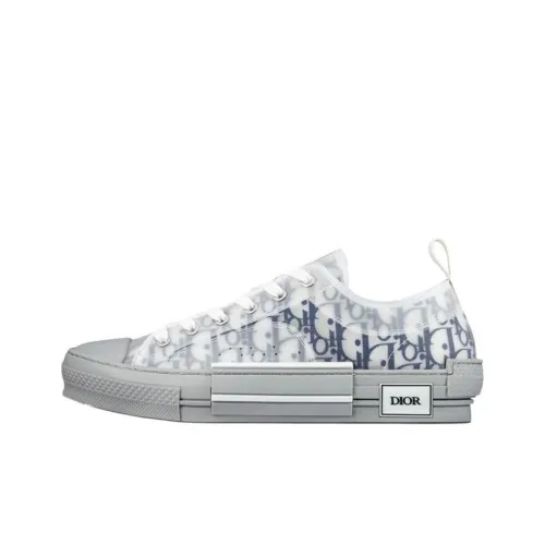 DIOR B23 Скейтборд Кроссовки Низкие Мужские