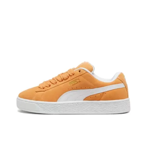 PUMA Low Топ Скейтборд Кроссовки Унисекс Коричнево-Желтые