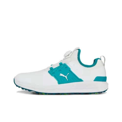 PUMA Ignite Articulate Low Топ Обувь для гольфа Мужская Белая Зеленая