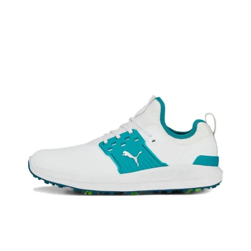 PUMA Ignite Articulate Low Топ Обувь для гольфа Мужская Белая Зеленая