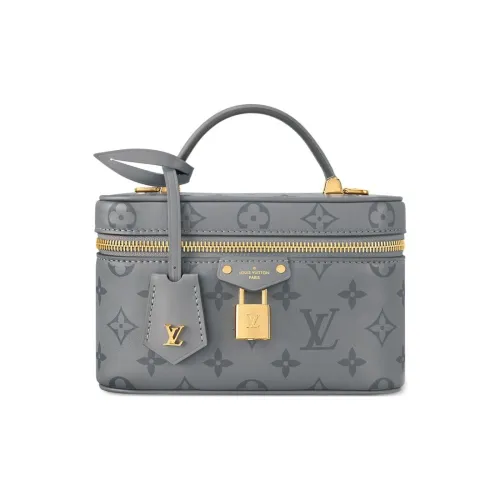 LOUIS VUITTON Vanity Телячья кожа Сумка Женская Серый