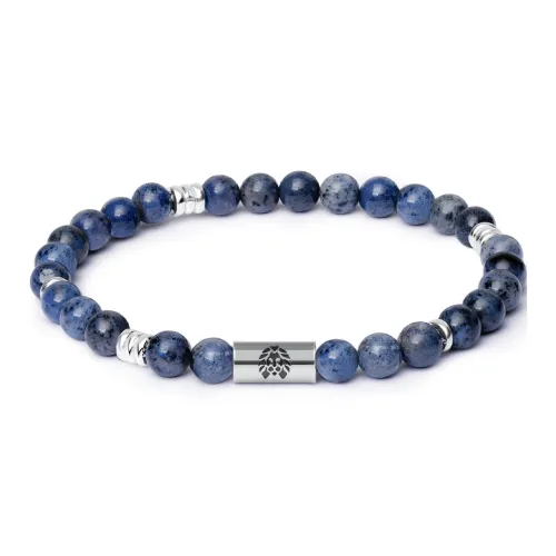 Rastaclat Синий Вены Камень Маленький Лев Китайский стиль Браслет с бусинами Унисекс