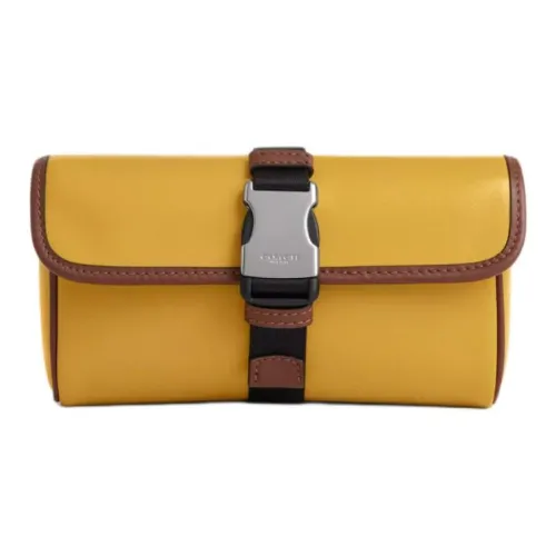 COACH Гладкая Телячья Кожа Клатч Женский Золотой