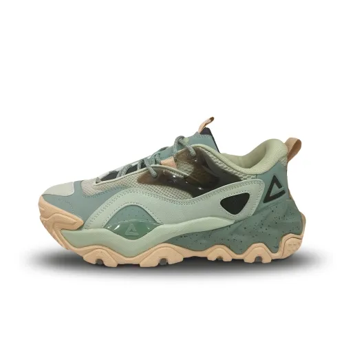 PEAK Tai Ji2,0 Повседневный Низкий Топ Фисташково-Зеленый Мужской