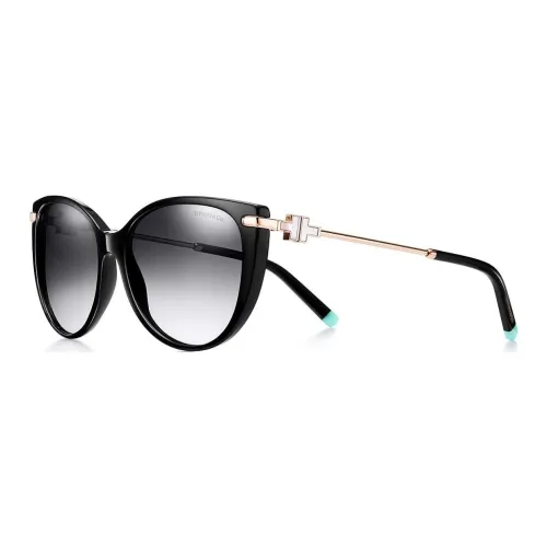 TIFFANY CO. OVAL SUNGLASSES Унисекс Черный