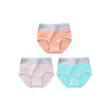 Креветка+Розовый+Лазурь далёкого неба-3 шт