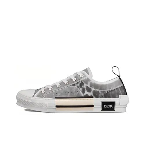 DIOR B23 Canvas Shoes Low Top Мужские