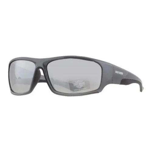 Harley Davidson Солнцезащитные очки Мужские