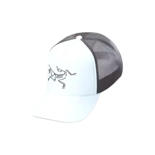 Arcteryx Полиэстер Кепки Унисекс Серый Белый